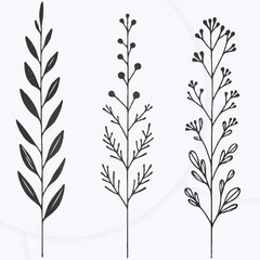 Meadow wild herbs Herbaceous plants. Elegant Floral Collection Hand Drawn Botanical. Flower illustration Doodle Ornament, Frieze Border. Line art flowers, Buds Drawing Outline, grasses, stems, leaves 