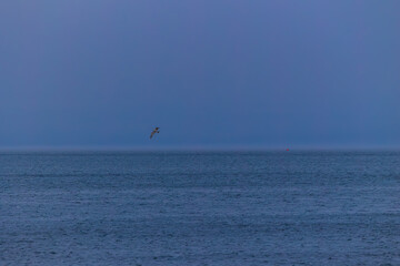 Twilight photo series of a seagull flying over the calm Sea of Galilee with distant mountains, peaceful atmosphere, and soft blue evening tones