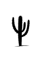 Cactus Silhouette Illustration