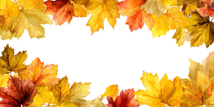 Watercolor yellow and orange maple leaves boarder on a white background