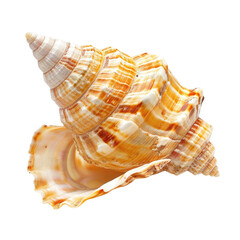 Obraz premium Close-up of a seashell, cone-shaped, with intricate, layered spiral patterns of cream, beige, and caramel-colored stripes