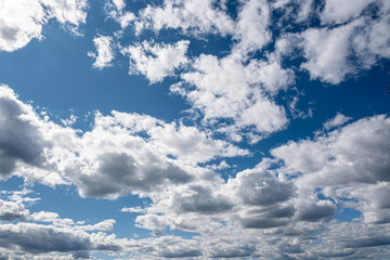 Obraz premium Vivid blue sky with scattered white clouds on a sunny day, creating a natural and airy background ideal for designs, nature concepts, and seasonal imagery. 