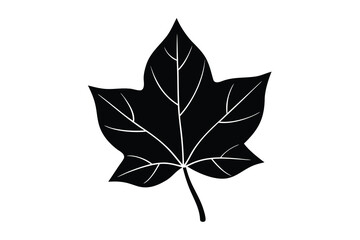 ivy leaf vector icon