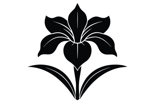 iris flower vector icon
