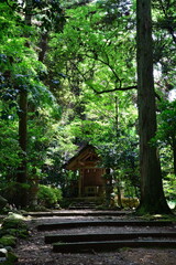 Fototapeta premium 気多大社（石川県）