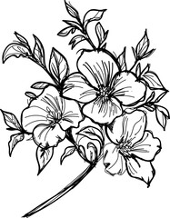 Wild rose flower hand sketch