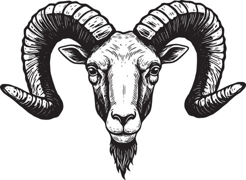 Detailed black and white woodcut illustration of a ram head, zod