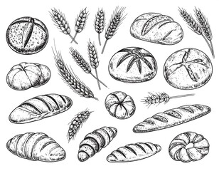 Hand-drawn sketch of various types of bread and wheat
