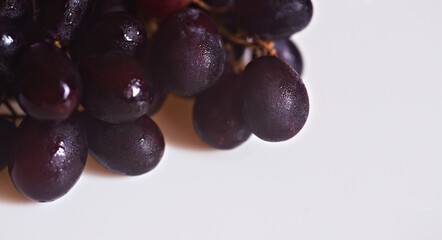 Cluster of vine of dark color on a white background. close up of a bunch of dark purple grapes hanging over a white background