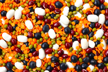 Colorful mixed beans and lentils, packed with plant-based protein and fiber