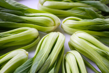 Fototapeta premium Fresh bok choy on white background.
