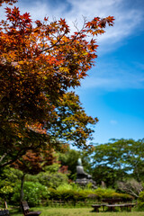 Naklejka premium 鎌倉25817 源氏山1 源頼朝