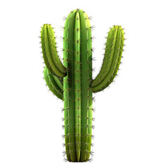 Naklejka premium Detailed, upright cactus with prominent ribs and spines