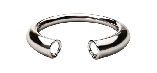 Polished, seamless, metal ring with two circular openings