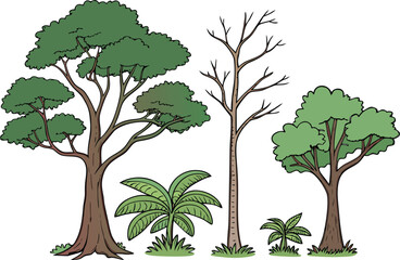 Obraz premium Collection of diverse trees and plants in a natural setting