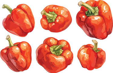 red bell pepper watercolor clipart