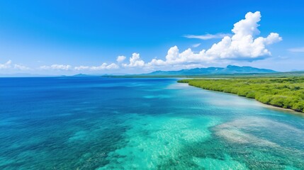 Obraz premium Mangrove Seascape