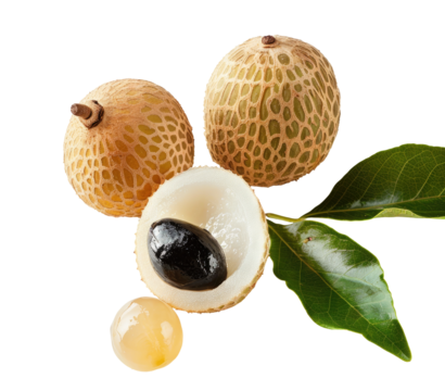 Close-up of three exotic fruits, two whole and one halved, with a seed and segments.  They have a light beige/tan skin with a patterned texture, and the flesh is pale yellow.  Green leaves are visible