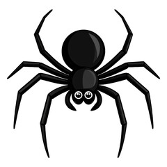 cute cartoon style spider illustration isolated png