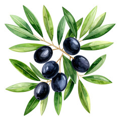 watercolor daisy wedding bouquet illustration isolated png