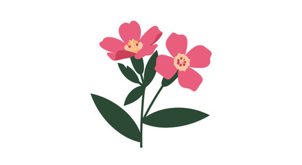 Vector Illustration of Exotic Flower Silene Tomentosa