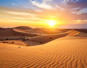 Desert sunset landscape
