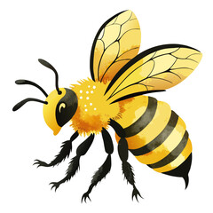 vector illustration of bee, flying, watercolor
