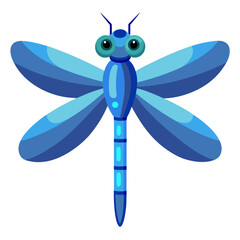 vector illustration of dragonfly, wings spread, flat design
