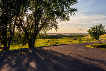 Country road along a meadow in sunset 