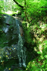 荒川剣龍峡（新潟県） © UI_forever