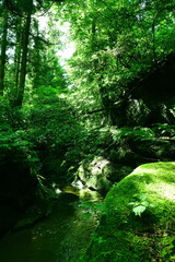 荒川剣龍峡（新潟県） © UI_forever