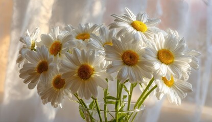Obraz premium Daisies in vase, sunlit window, fabric backdrop, peaceful scene, home decor