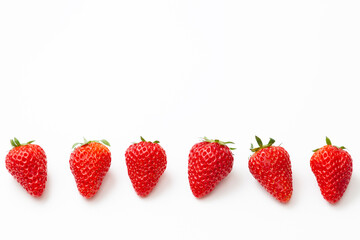 並んだいちご　白バック