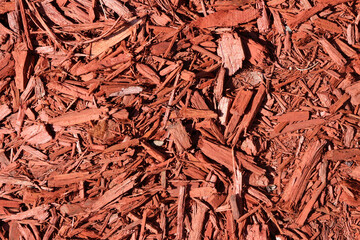 Brown wood chip mulch in a garden close-up abstract textured background