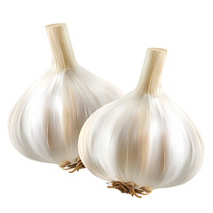 Two whole heads of garlic, close-up, displayed against a black background.  White bulbs with light beige stalks.  Natural light highlights the texture and form
