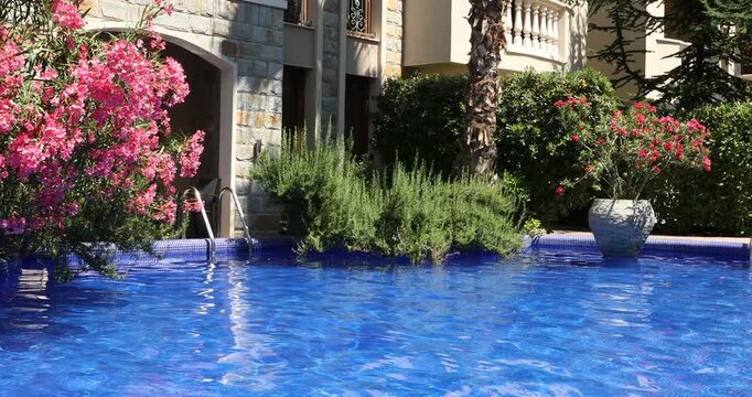 Outdoor swimming pool and different plants near hotel at luxury resort, camera moving