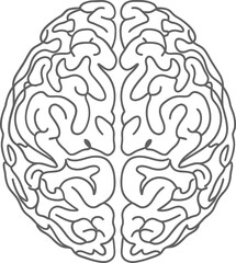 Vector art of human brain drawing isolated on white background, concept of intelligence