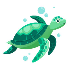 vector illustration of sea turtle, shell view, flat design