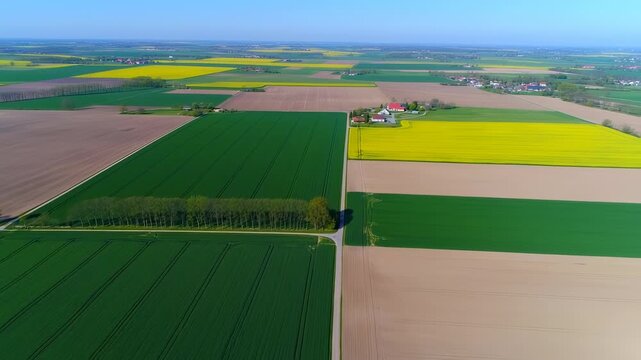 Aerial view of agricultural fields with various crops