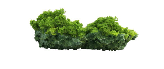 Close-up of a cluster of vibrant green leafy vegetable matter, possibly kale or similar, with a textured surface
