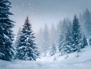 Snowfall in winter forest.Beautiful landscape with snow covered fir trees and snowdrifts.Merry Christmas and happy New Year greeting background with copy-space.Winter fairytale.