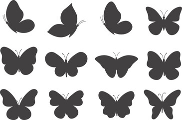 Bundle of assorted blue ribbon styles perfect for use as decoration and sticker