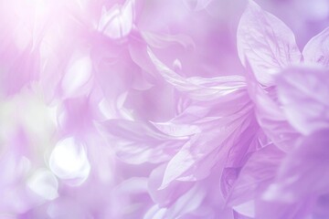 Fototapeta premium abstract pink background