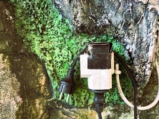 A wall-mounted electrical outlet.