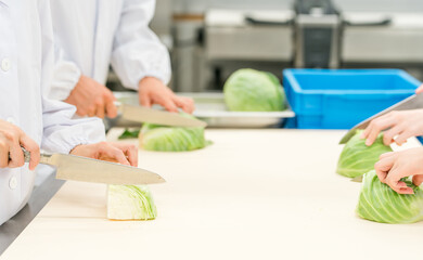 食品加工場で働くキャベツを切るスタッフの手元
