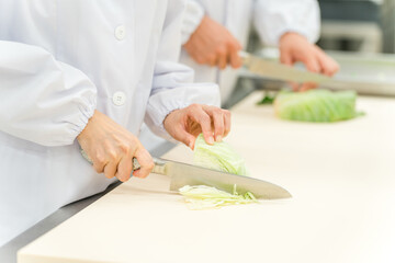 食品加工場で働くキャベツを切るスタッフの手元

