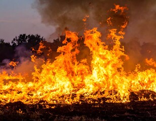 Fiery blaze consuming dry field