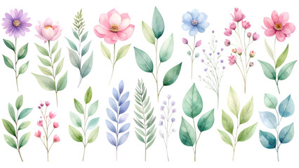 Naklejka premium A set of hand-drawn Watercolor illustrations of botanical and floral elements on a transparent background