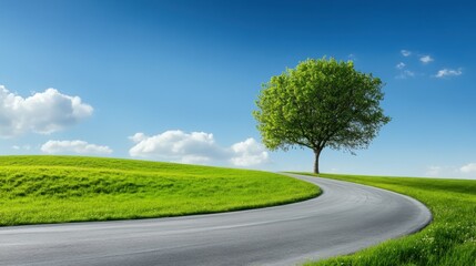 Fototapeta premium Serene Curved Road with Green Grass and Lone Tree Against Blue Sky