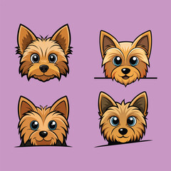 Fototapeta premium Yorkshire Terrier 